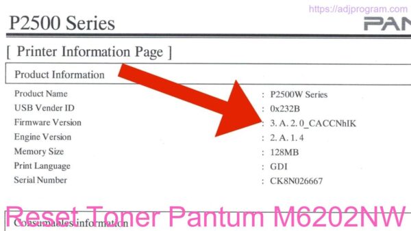 Reset Toner Pantum M6202NW