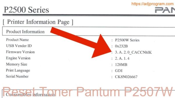 Reset Toner Pantum P2507W