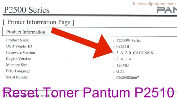 Reset Toner Pantum P2510