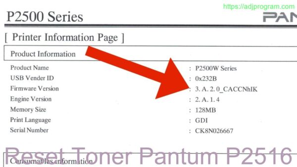 Reset Toner Pantum P2516