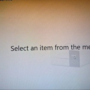 Epson SL-D500 Series Service Adjustment Program